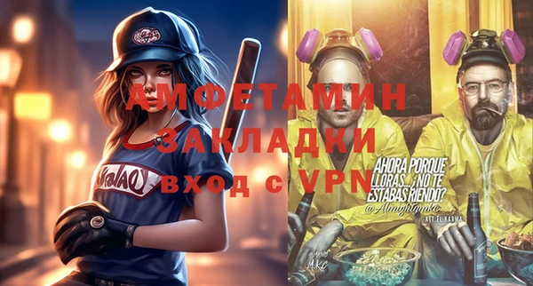 соль ск Михайлов