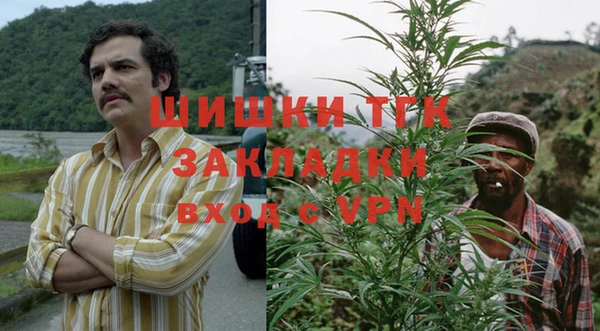 соль ск Михайлов