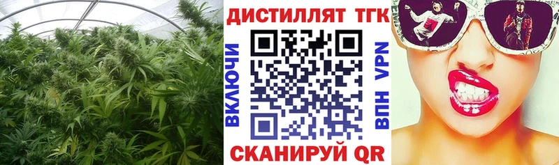 Дистиллят ТГК концентрат  Купить закладки  Камызяк 
