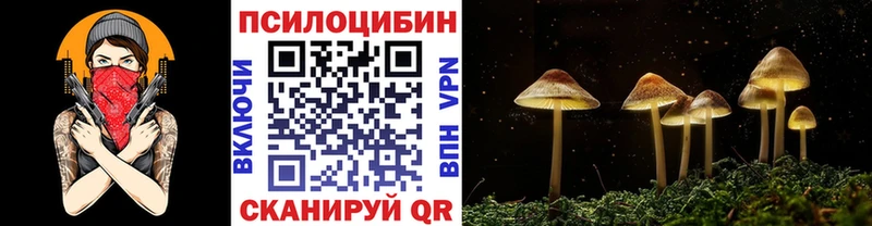 Псилоцибиновые грибы ЛСД  Купить закладки  Камызяк 